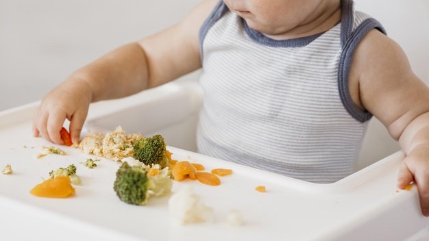 Phương pháp ăn dặm BLW cho bé 7 tháng tuổi-1 chi tiết nhất