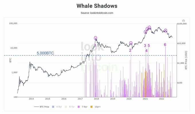 Biến động giá bitcoin mỗi khi cá voi thức dậy.  Nguồn: Lookintobitcoin