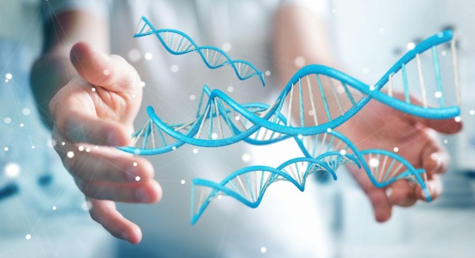 Yếu tố di truyền được coi là nguyên nhân gây ra bệnh.  Ảnh: Shutterstock